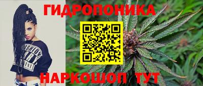 хмурый Аргун