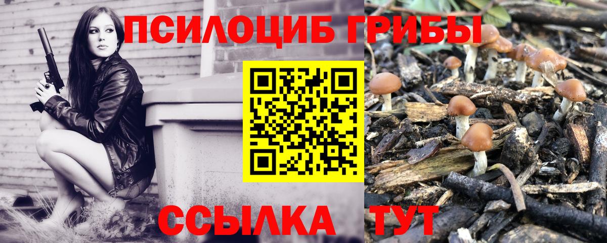Галлюциногенные грибы прущие грибы Братск